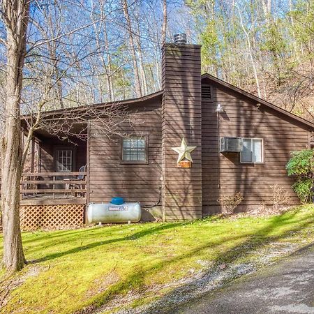 Bear Den, Hot Tub, 1089 Of Free Attraction Tickets For Each Paid Day, Dollywood And More! Севьервилл Экстерьер фото