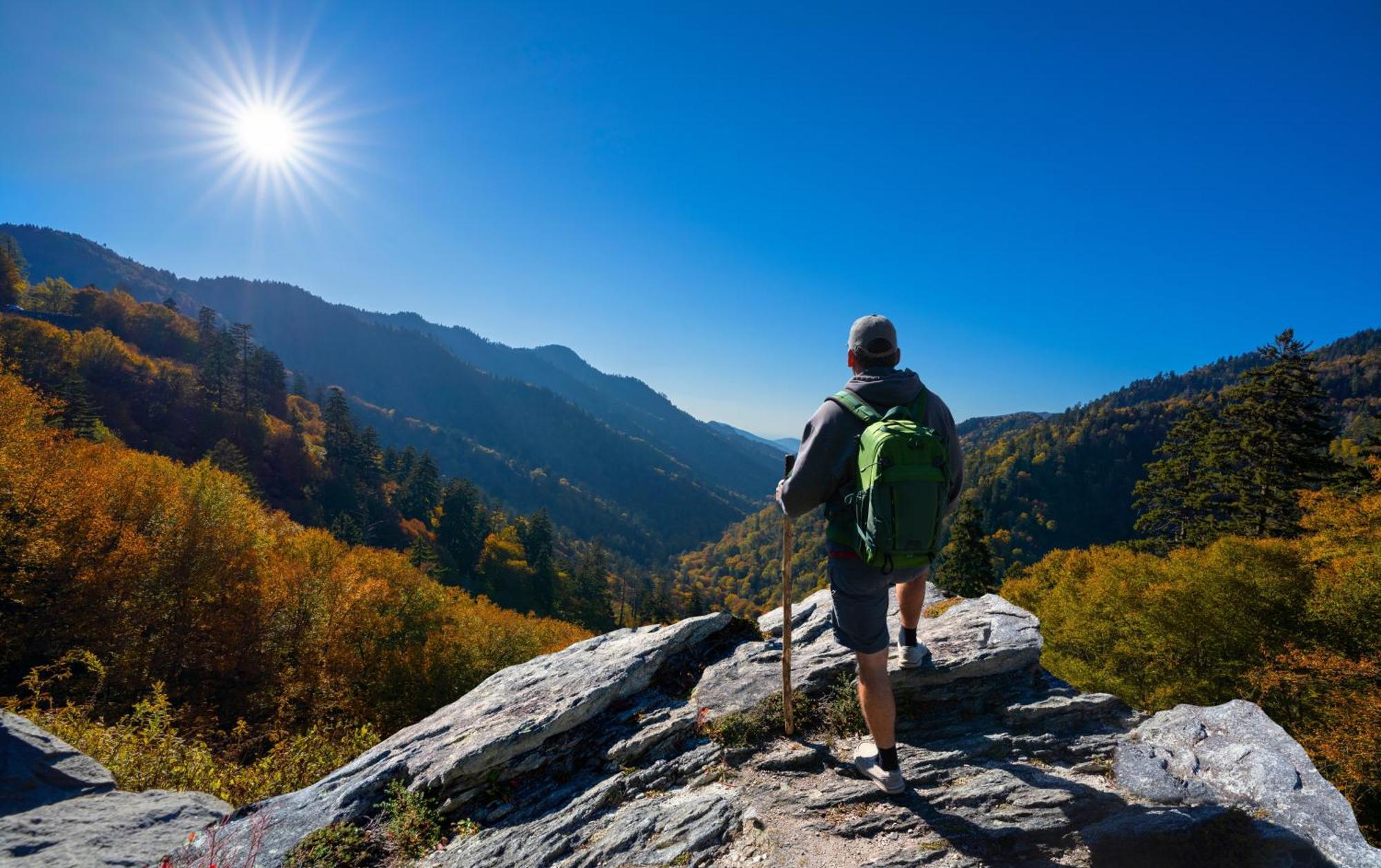 Bear Den, Hot Tub, 1089 Of Free Attraction Tickets For Each Paid Day, Dollywood And More! Севьервилл Экстерьер фото