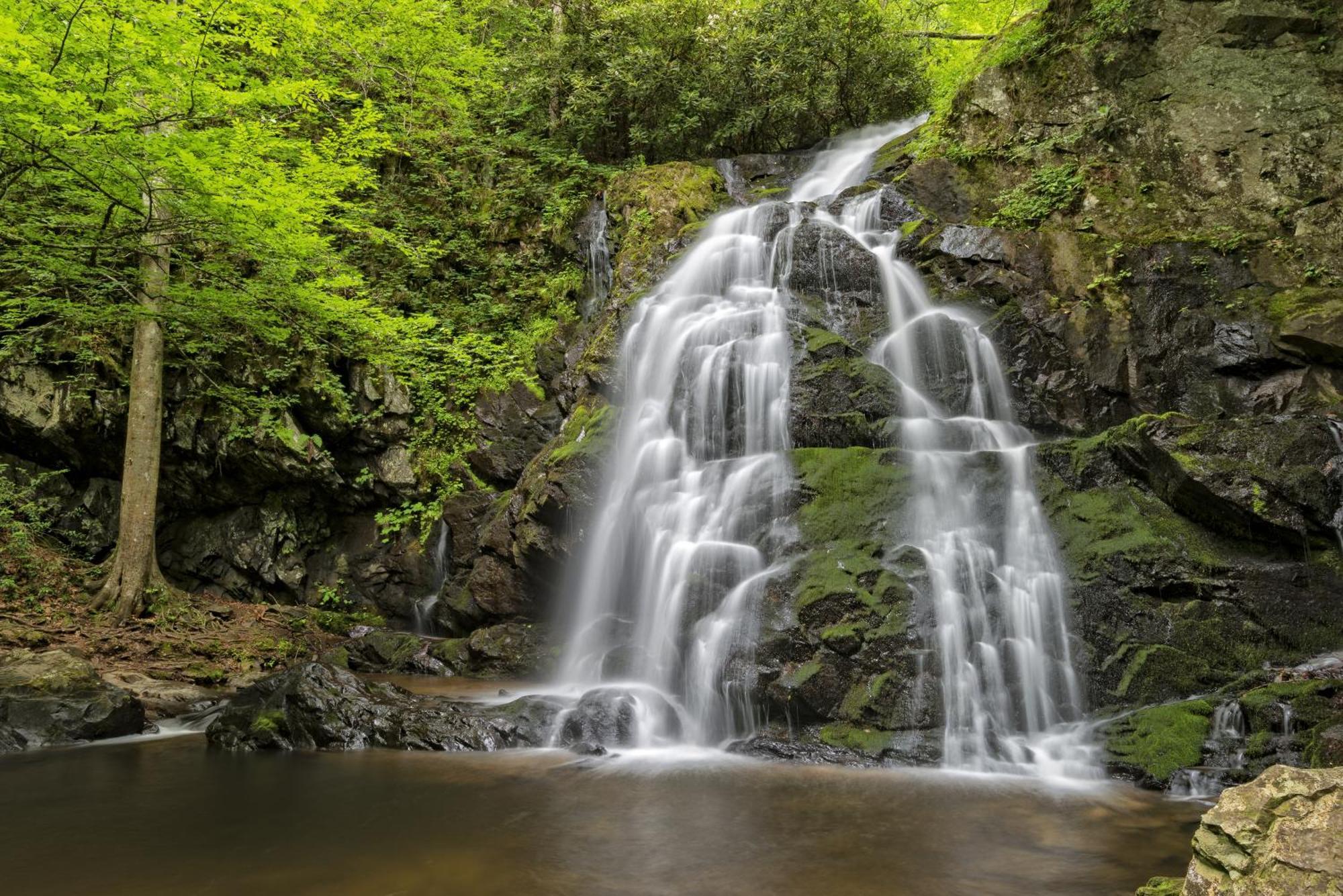 Bear Den, Hot Tub, 1089 Of Free Attraction Tickets For Each Paid Day, Dollywood And More! Севьервилл Экстерьер фото