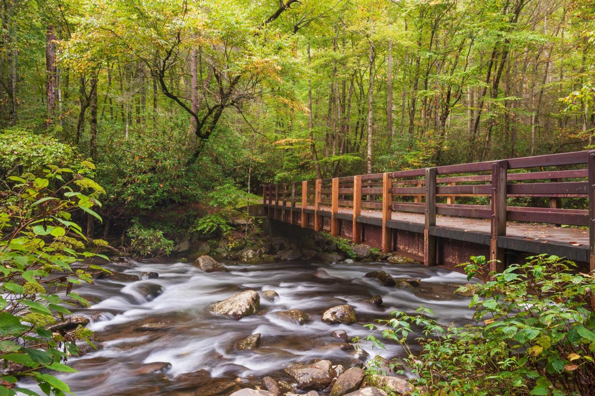 Bear Den, Hot Tub, 1089 Of Free Attraction Tickets For Each Paid Day, Dollywood And More! Севьервилл Экстерьер фото