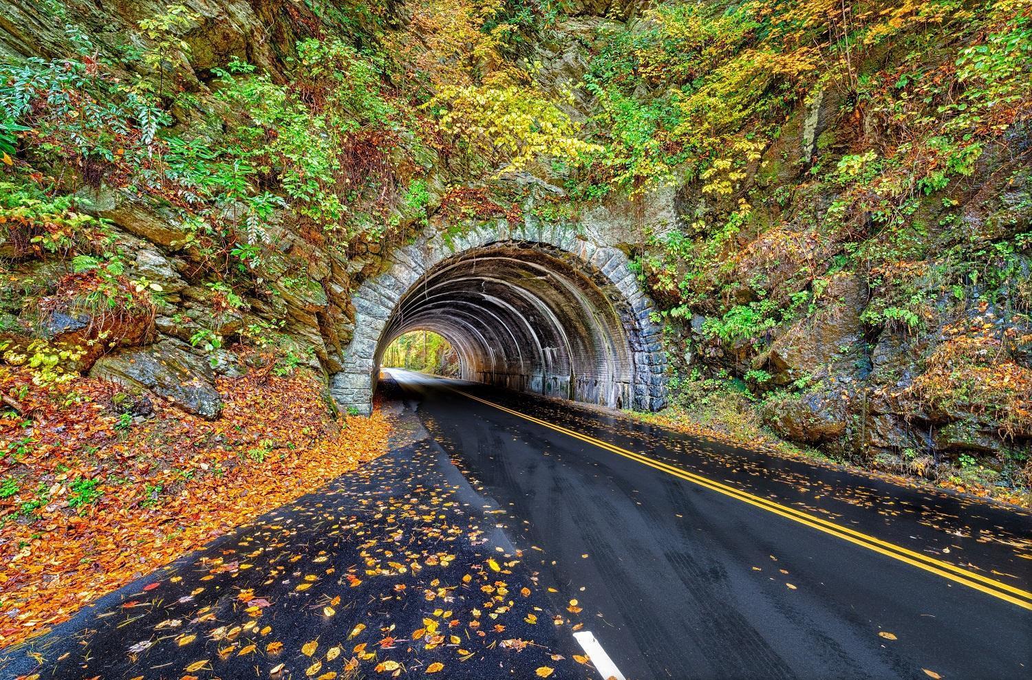 Bear Den, Hot Tub, 1089 Of Free Attraction Tickets For Each Paid Day, Dollywood And More! Севьервилл Экстерьер фото